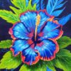 Blue Hibiscus
